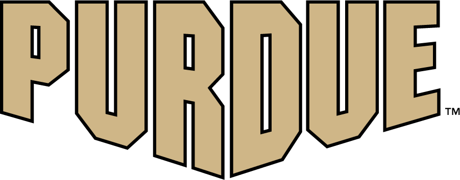 Purdue Boilermakers 2020-Pres Wordmark Logo v2 diy DTF decal sticker